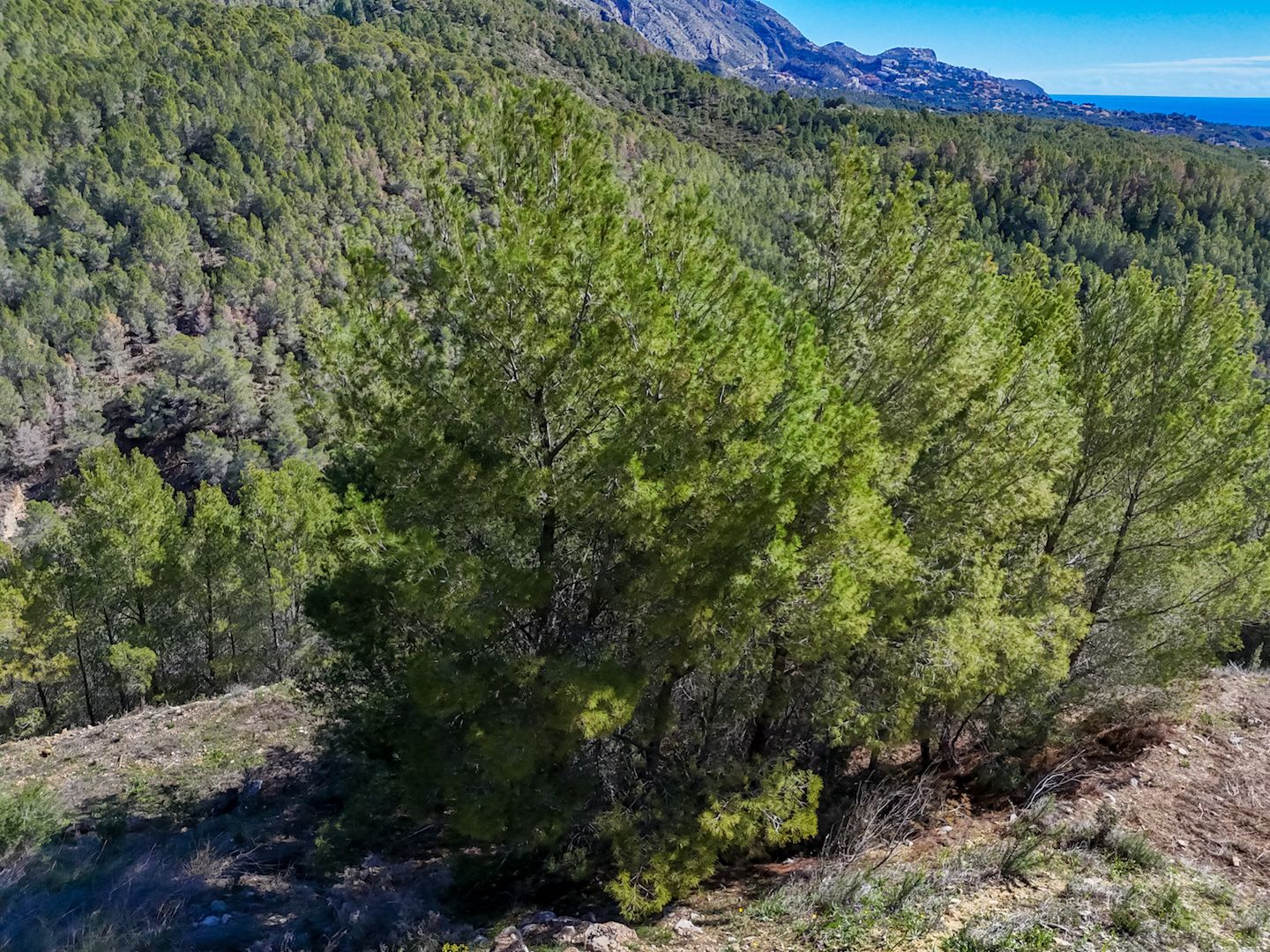 Plot for sale in Altea, Alicante