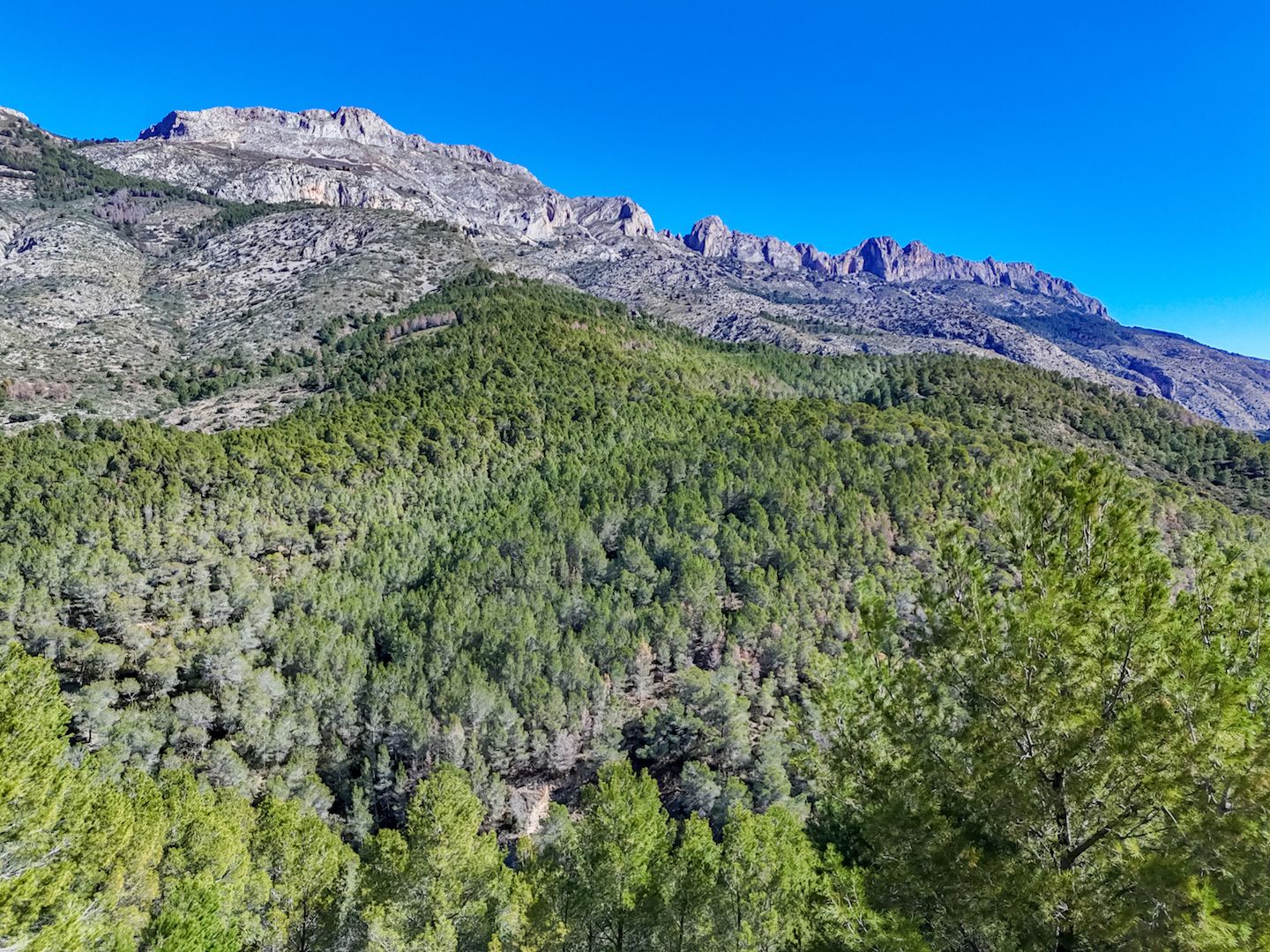 Plot for sale in Altea, Alicante