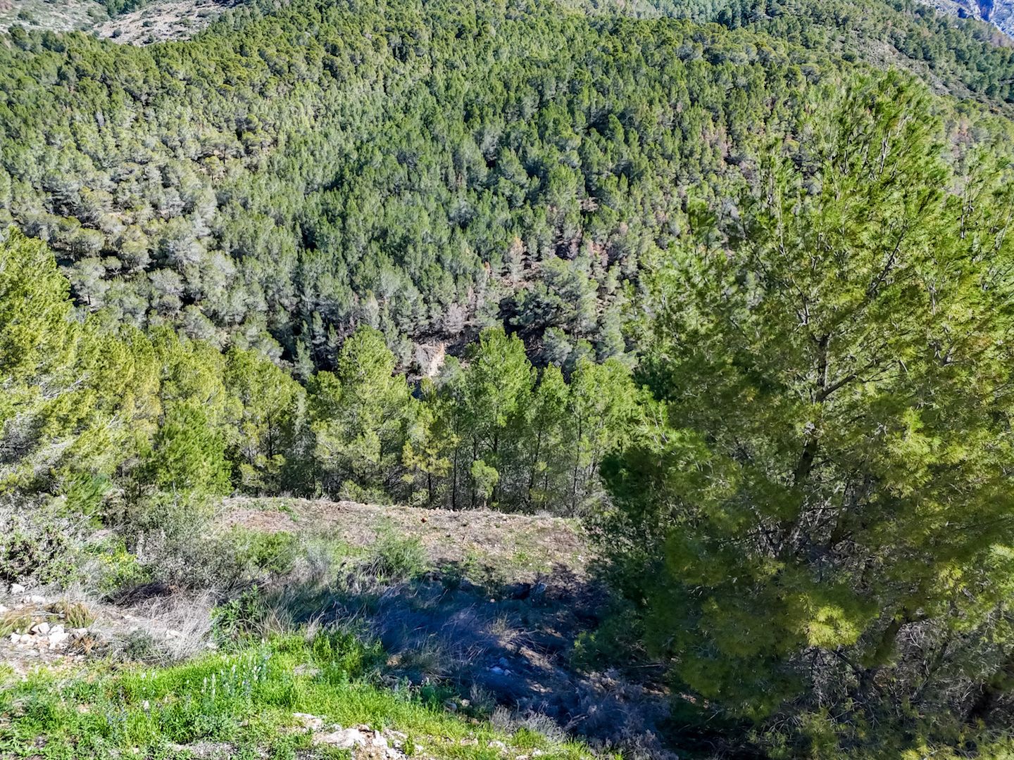 Plot for sale in Altea, Alicante