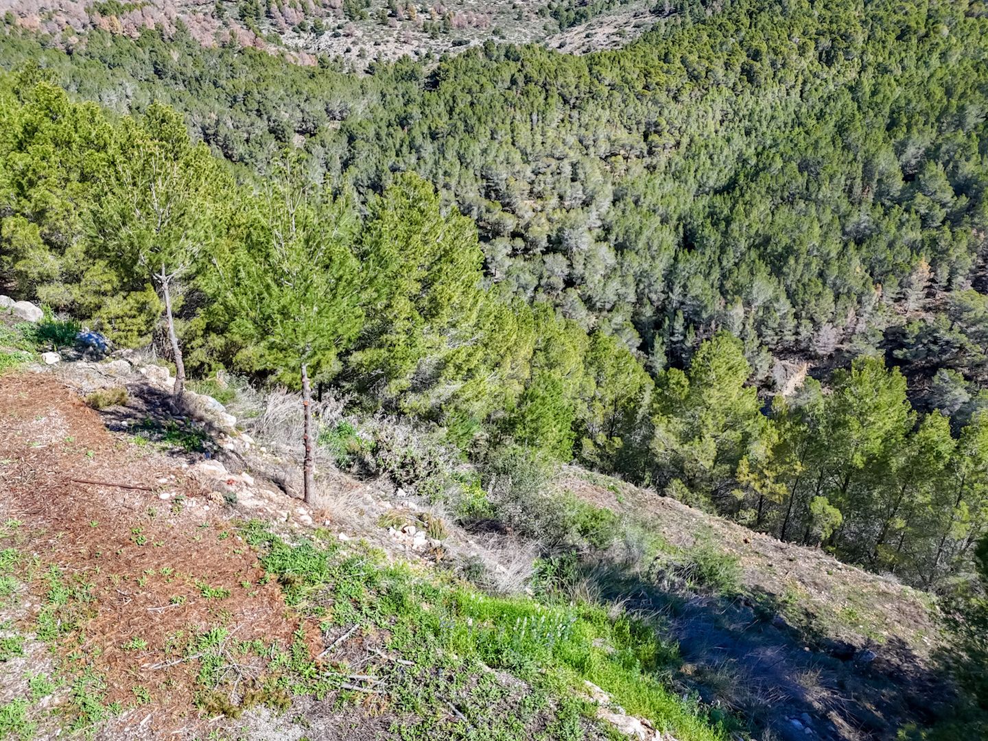 Plot for sale in Altea, Alicante