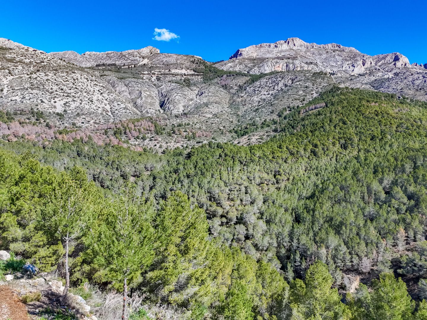 Plot for sale in Altea, Alicante