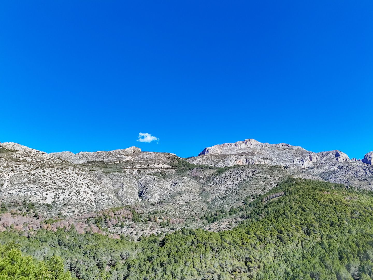 Plot for sale in Altea, Alicante