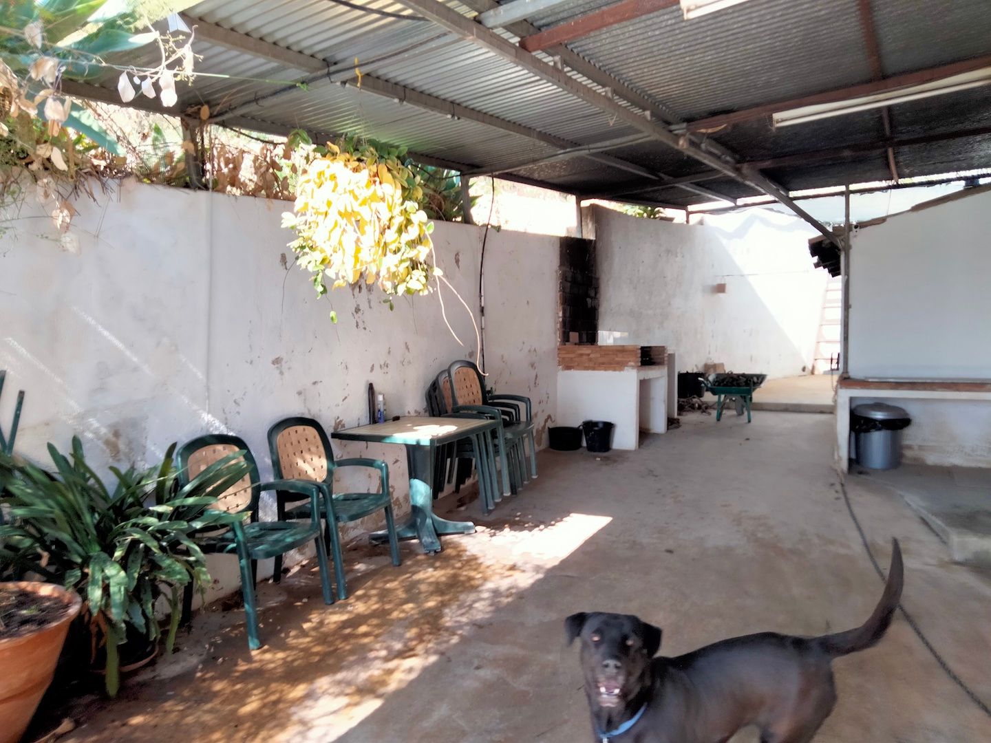 Finca à la vente à -