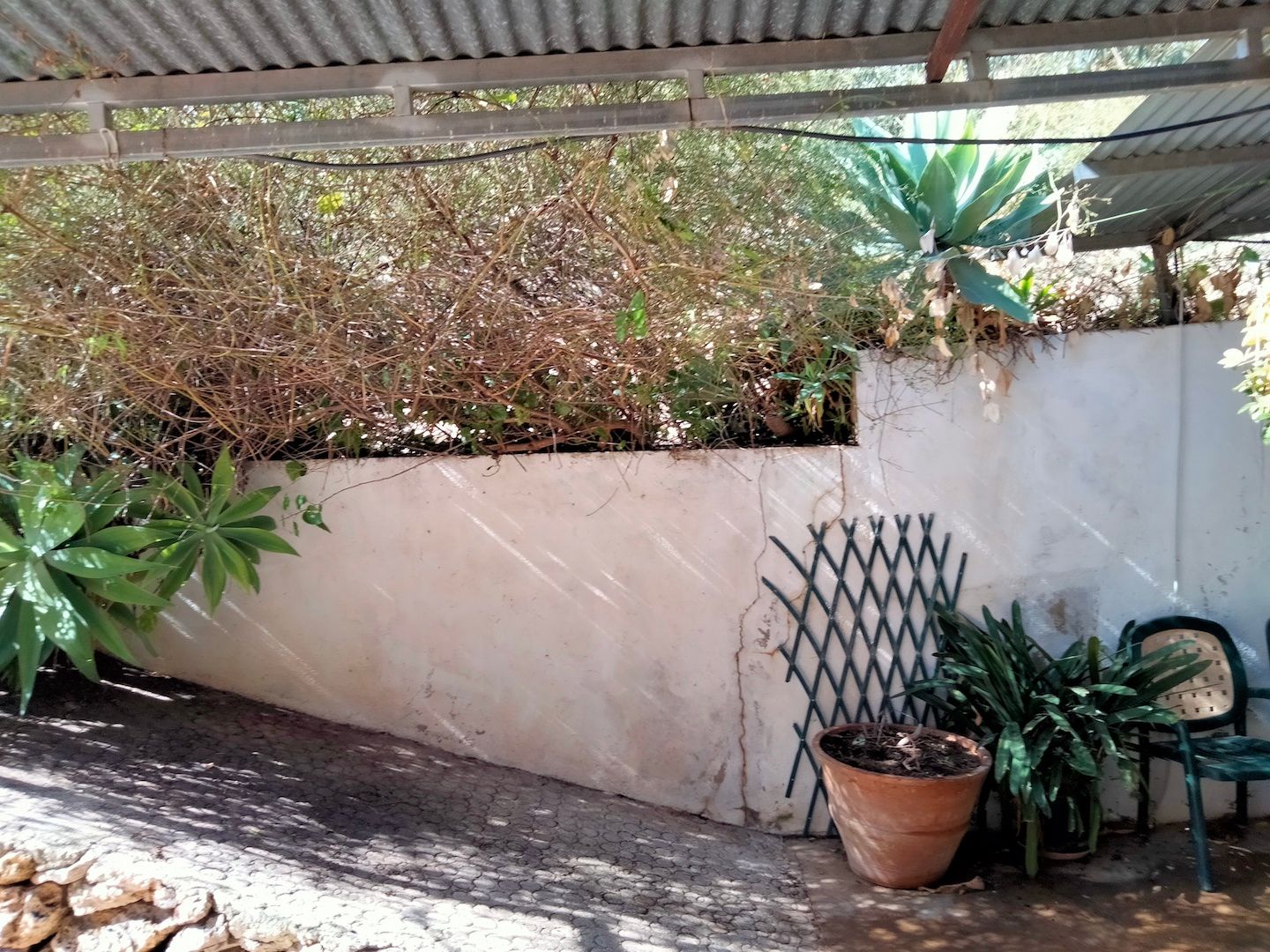 Finca à la vente à -