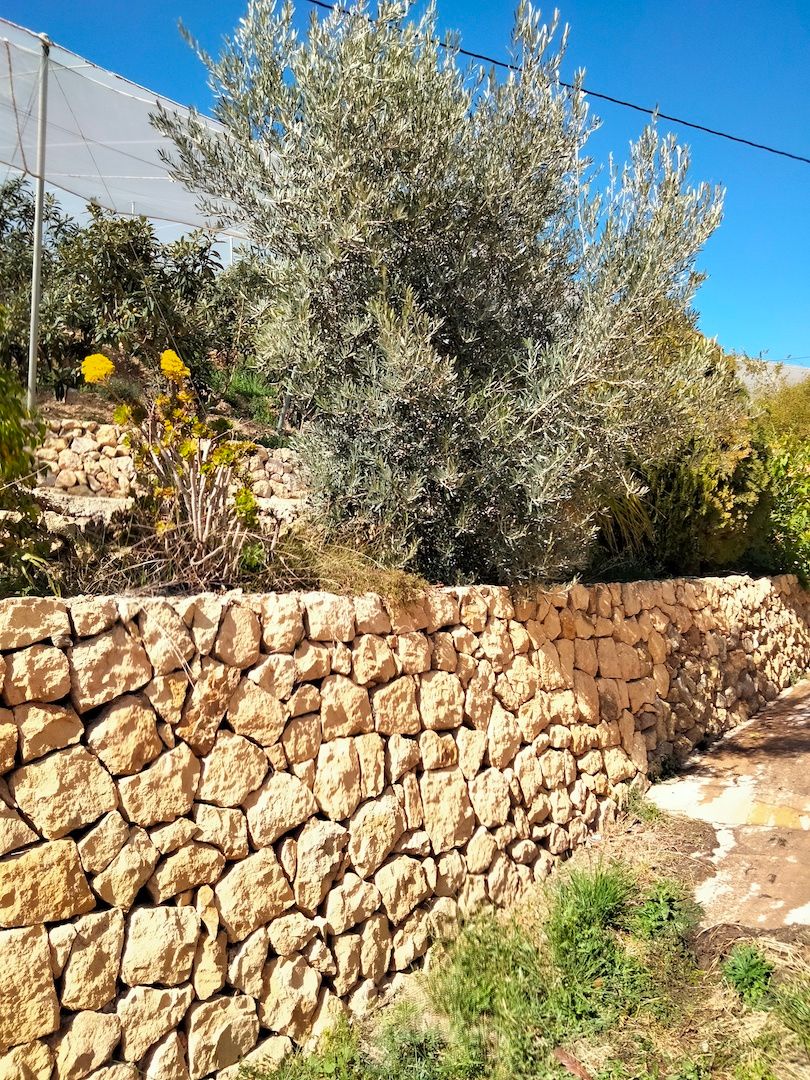 Finca à la vente à -