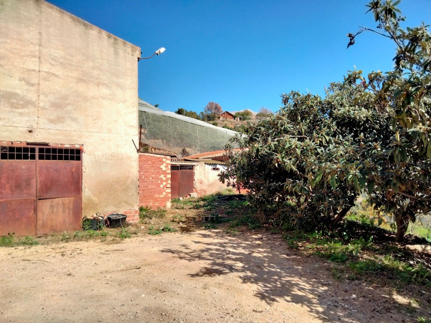 Finca à la vente à -