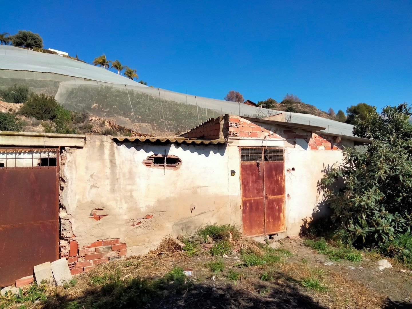 Finca à la vente à -