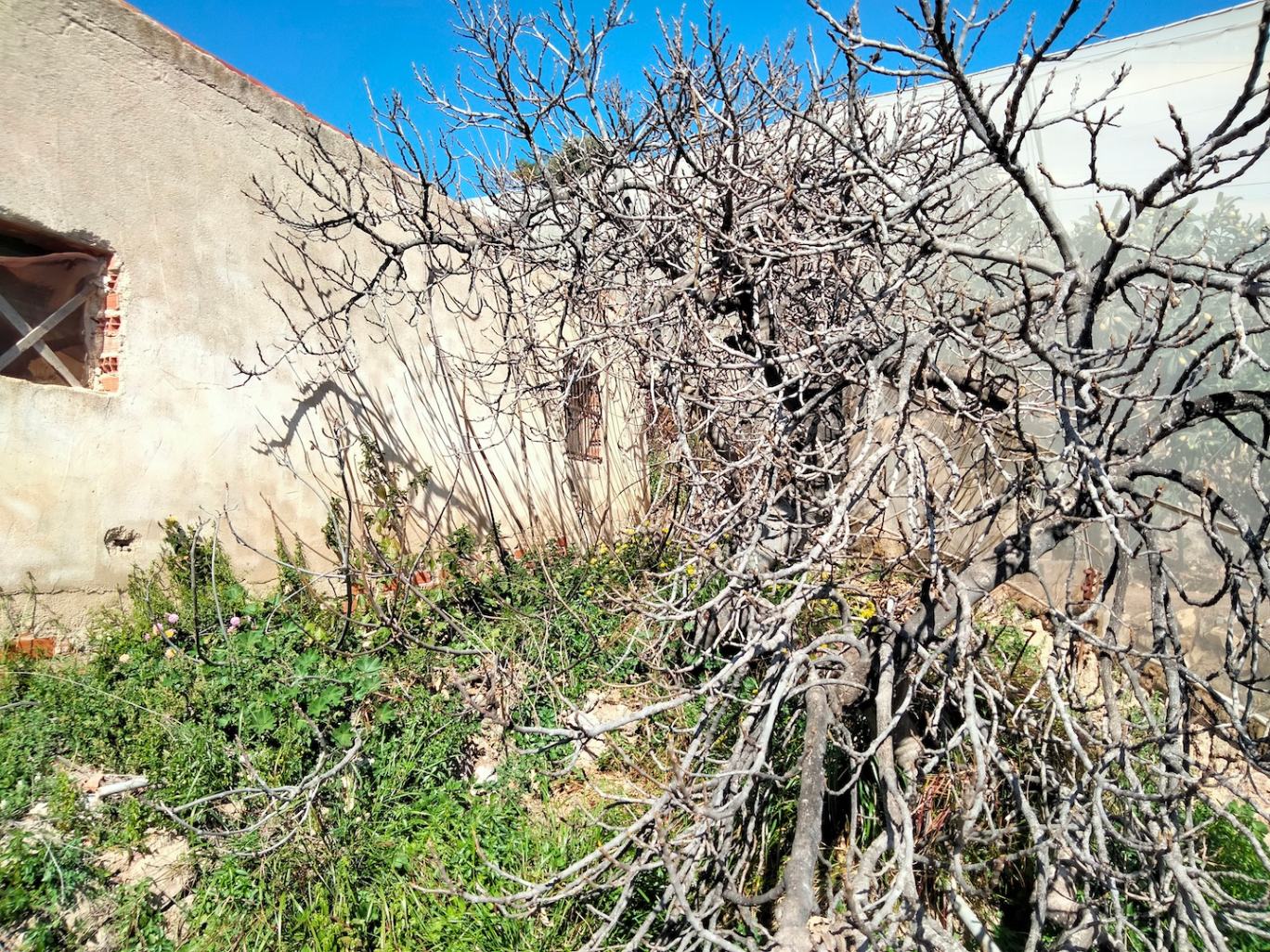 Finca à la vente à -