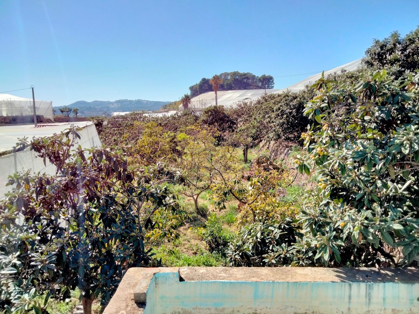 Finca à la vente à -
