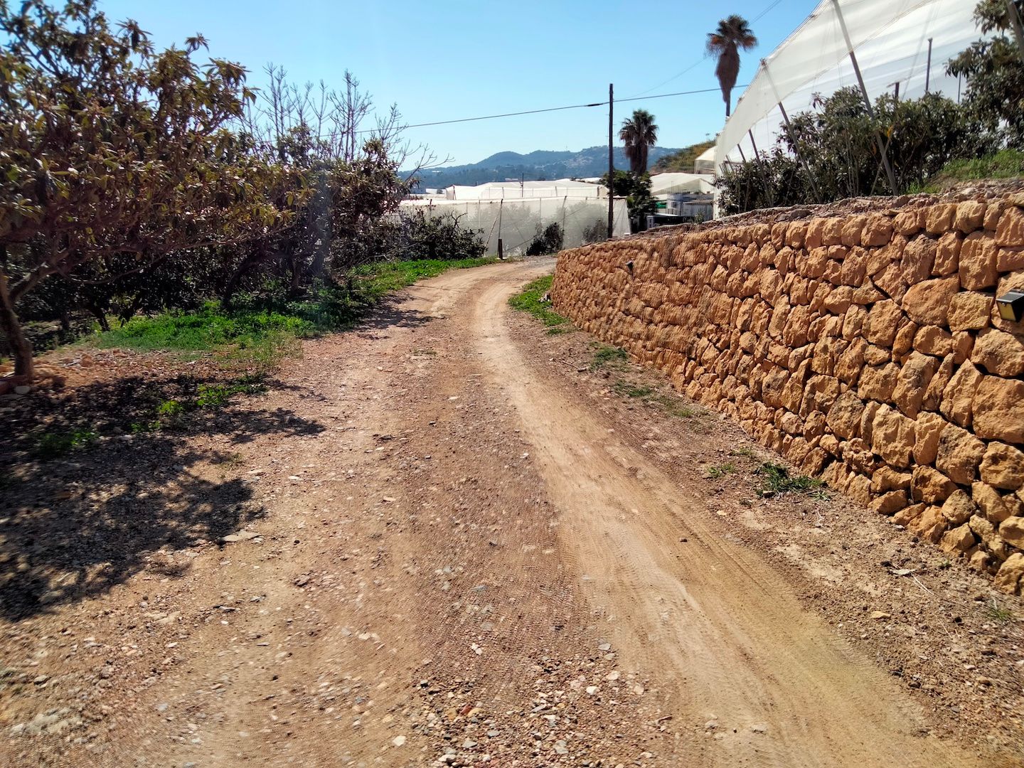 Finca à la vente à -
