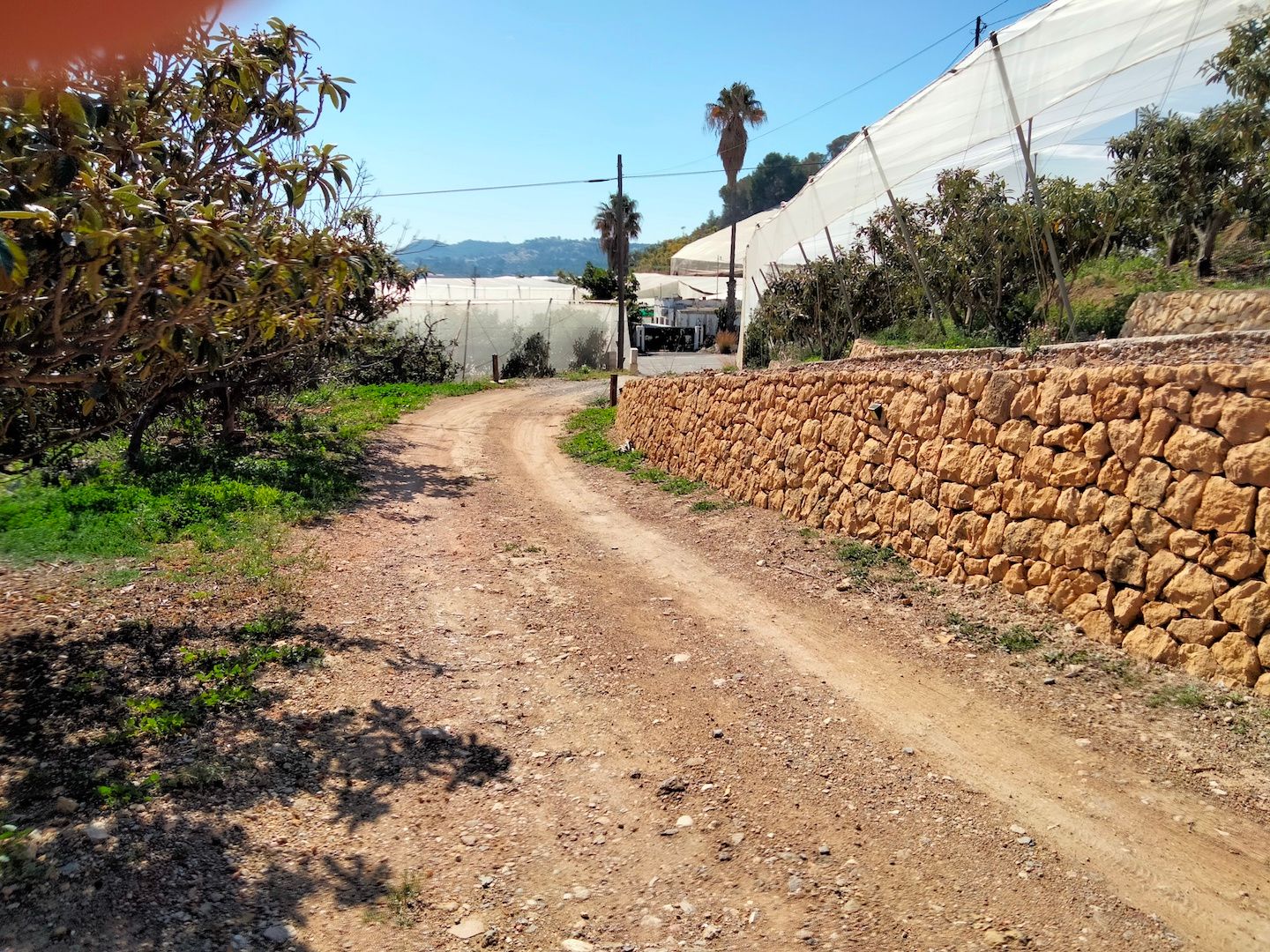 Finca à la vente à -